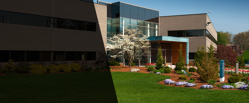 East Hampton Landscapers