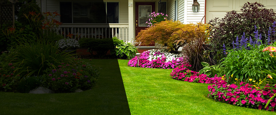 East Hampton Landscapers